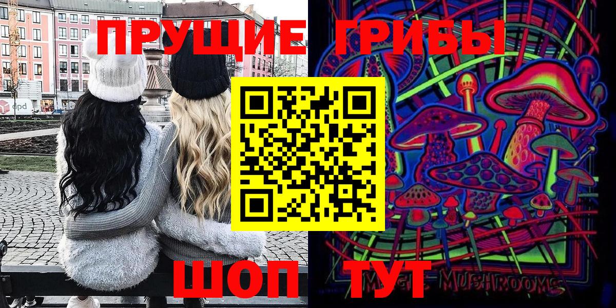 Галлюциногенные грибы Psilocybe Усолье-Сибирское